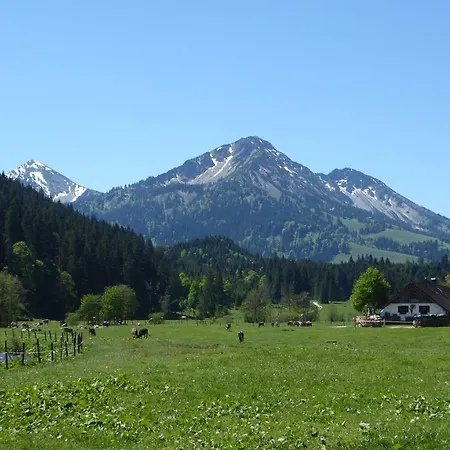 Fw Weissensee Appartement